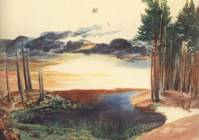 Albrecht Durer A Pond in the woods Spain oil painting art